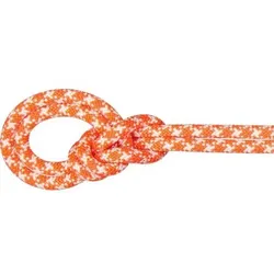 MAMMUT Bergseil 9.5 Crag Classic Rope 70m, Größe 70 in Orange Orange
