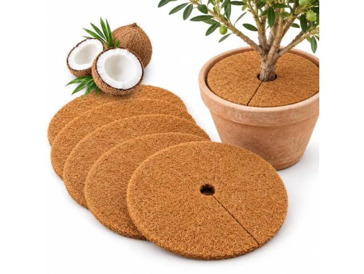 Relaxdays Tapis coco rond\, nature lot de 5\, protection hiver et antigel\, trou & fente\, D 30 cm\, fibre de coco