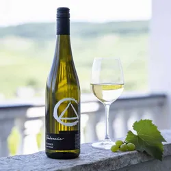 Weingut Finkenauer 2023 Finkenauer Silvaner trocken 2023 Silvaner Deutschland