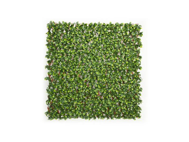 Künstliche Pflanzenwand Gardenienblätter, 200x100 cm JAROLIFT