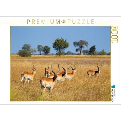 CALVENDO Puzzle Rote Lechwe-Antilopen, Okavango Delta, Botswana. | 1000 Teile Lege-Größe 64x48cm Foto-Puzzle für glückliche Stunden