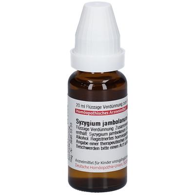 Syzygium Jambolanum D 2 Dilution 20 ml