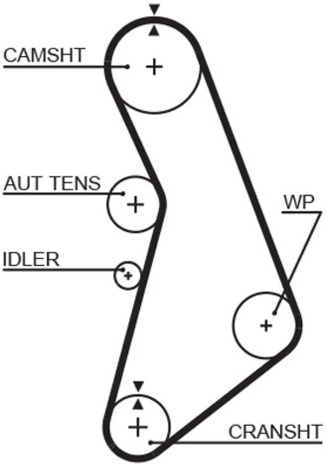 Zahnriemen GATES 5491XS
