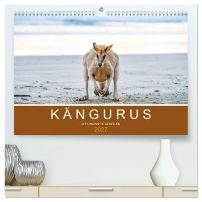 Kängurus, sprunghafte Gesellen (hochwertiger Premium Wandkalender 2027 DIN A2 quer), Kunstdruck in Hochglanz