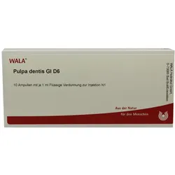 Pulpa Dentis GL D 6 Ampullen 10X1 ml