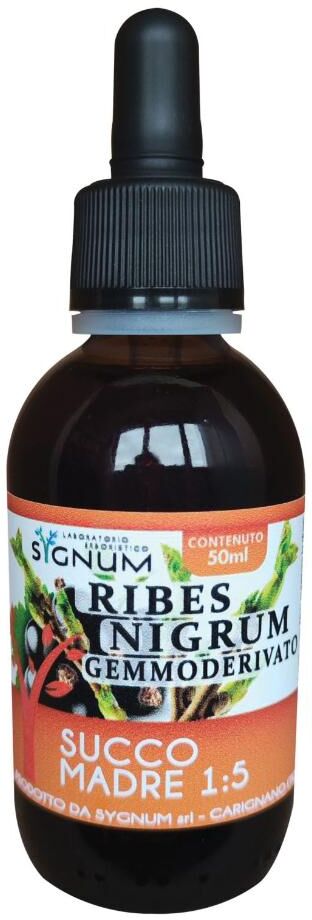 SYGNUM srl RIBES NIGRUM SUCCO MADRE 50ML