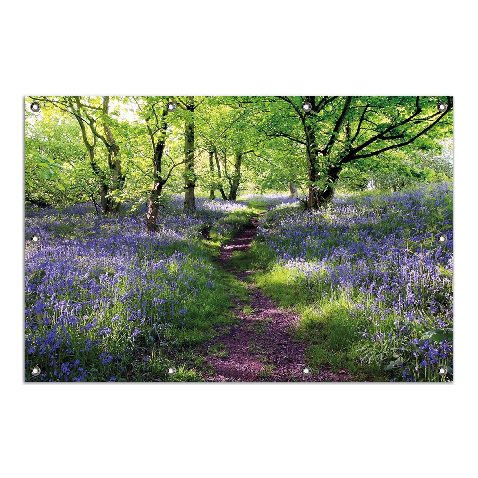 Wallario Gartenposter ca. 80 x 120 cm Blaues Hasenglöckchen im Wald