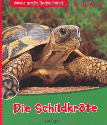 Paul Sarosta - Die Schildkröte - Preis vom 30.09.2026 22:30:23 h