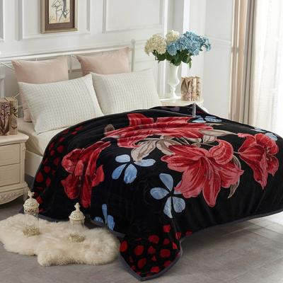 JML Raschel A&B Printed 2-ply Reversible Korean-style Plush Fleece Blanket