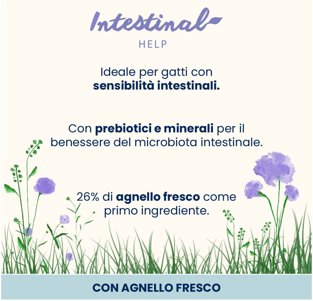 Almo Nature Cat Holistic Digestive Agnello 2KG
