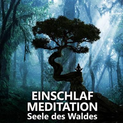 Einschlafmeditation | Seele des Waldes - Raphael Kempermann, Audio, 4061707934018
