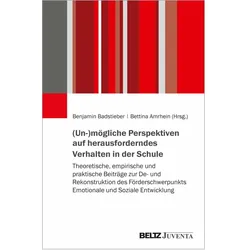 (Un-)mögliche Perspektiven auf herausforderndes Verhalten in der Schule, Fachbücher von Benjamin Badstieber, Bettina Amrhein