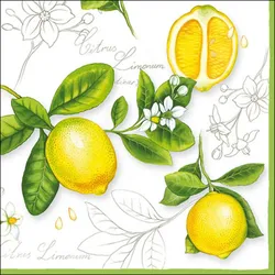 Ambiente 20 Servietten Papier 33x33cm 3-lagig - hochwertige Einweg Papierservietten Vintage Zitronen Motiv Partyservietten mediterran Tischdeko Sommerdeko