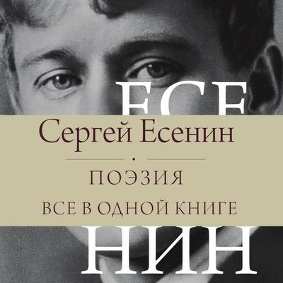 Sergey Yesenin. Poeziya. Vse v odnoy knige - Sergey Yesenin, Audio, 9785171854263