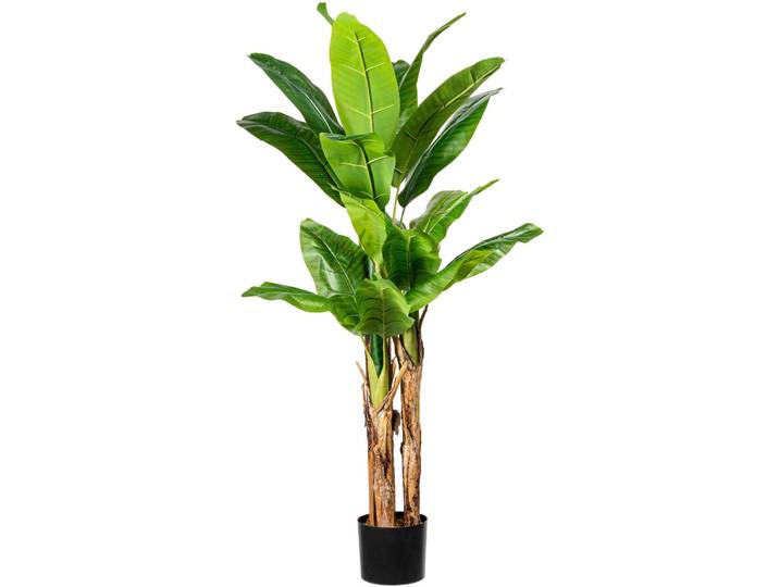 Kunstpalme CREATIV GREEN Bananenpflanze , grün, H:150cm, Kunststoff, Kunstpflanzen, Kunstpalme