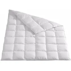 Traumschlaf, Duvet, Himalaya (480 g, Daune, 200 x 135 cm)
