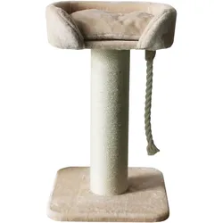 Companion cat scratching post, Lion S, Katzenbaum