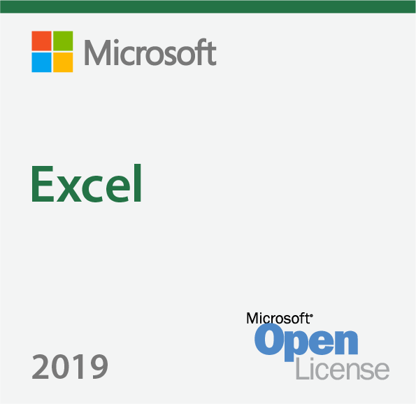 Microsoft Corporation Microsoft Excel 2019 Windows 065-08677