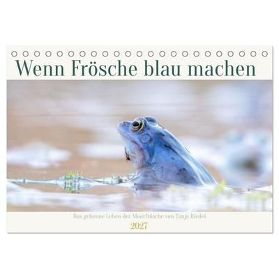 Wenn Frösche blau machen - das geheime Leben der Moorfrösche von Tanja Riedel (Tischkalender 2027 DIN A5 quer), CALVENDO Monatskalender