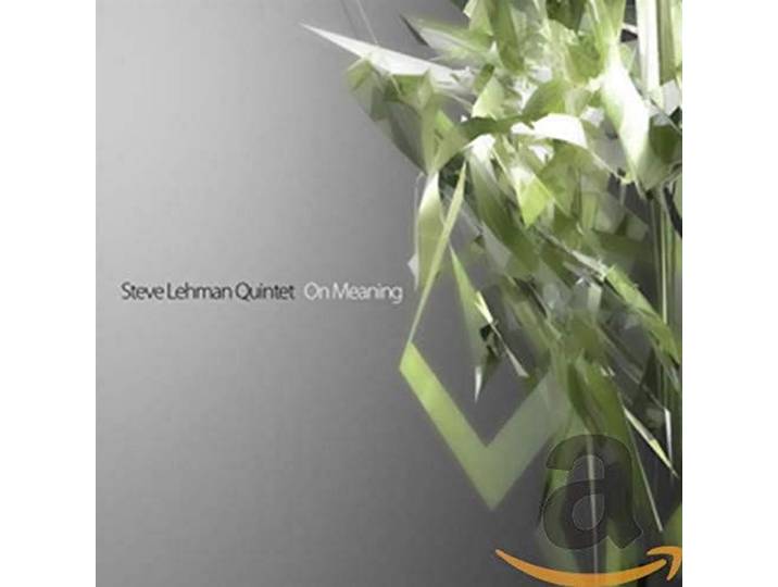 Steve Lehman Quintet - On Meaning