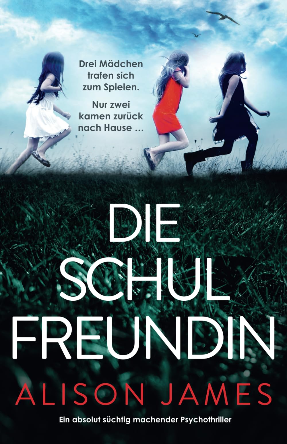 Alison James - Die Schulfreundin: Ein absolut süchtig machender Psychothriller - Preis vom 19.10.2026 19:33:35 h
