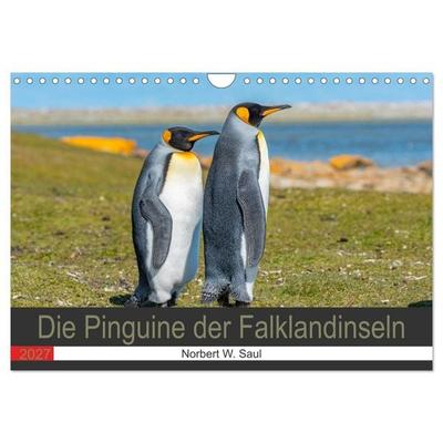 Die Pinguine der Falklandinseln (Wandkalender 2027 DIN A4 quer), CALVENDO Monatskalender