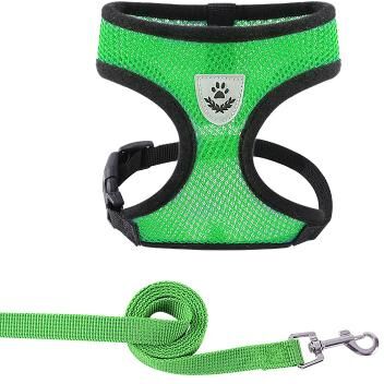 Multisell Products Hub Adjustable Summer Cat & Dog Harness Leash Breathable, Reflective Polyester Vest For Small Pets, Comfortable green xl