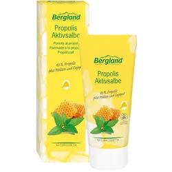 Bergland Propolis Aktivsalbe 30 ml