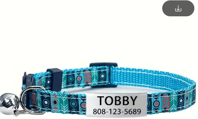 Inspire Picks Personalized Engraved Cat Collar With Bell & Safety Breakaway ID sky Blue