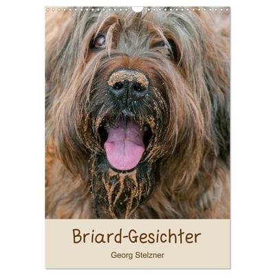 Briard-Gesichter (Wandkalender 2027 DIN A3 hoch), CALVENDO Monatskalender