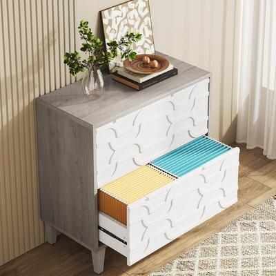 RS 2-Drawer Lateral File Cabinet, Filing Cabinet for Home Office