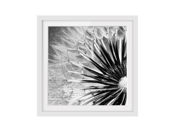 Tableau déco pissenlit noir et blanc II Pin massif, verni mat Blanc 30 x 30cm