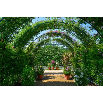 Papermoon "Garten"
