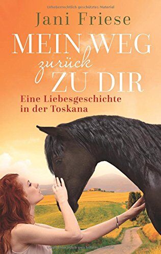 Jani Friese - Mein Weg zurück zu dir: Eine Liebesgeschichte in der Toskana - Preis vom 15.10.2026 23:06:25 h