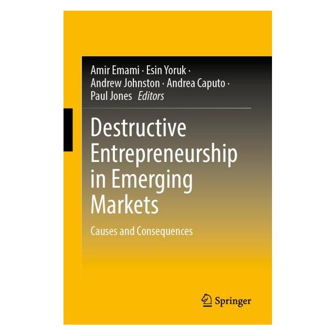 Springer Destructive Entrepreneurship in Emerging Markets (Englisch, Hardcover, Andrew Johnston, Esin Yoruk) (63686849)