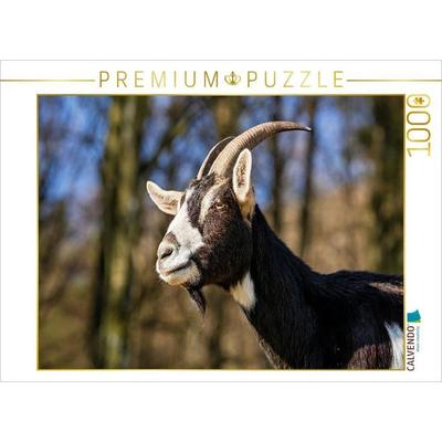 CALVENDO Puzzle Was für eine Ziegenschönheit | 1000 Teile Lege-Größe 64x48cm Foto-Puzzle für glückliche Stunden