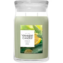 Yankee Candle Duftkerze Signature Big - grün