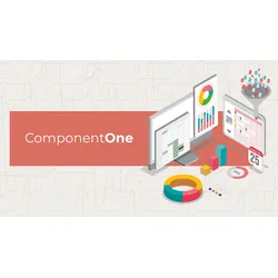 ComponentOne, 1 Developer