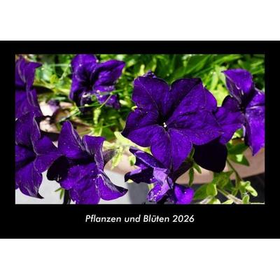 Pflanzen und Blüten 2026 Fotokalender DIN A3