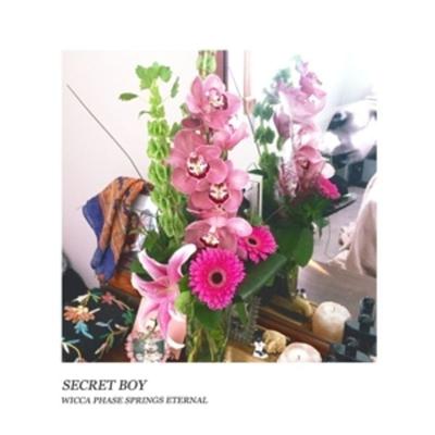 Secret Boy (Doublemint Green Vinyl) - Wicca Phase Springs Eternal, Vinyl