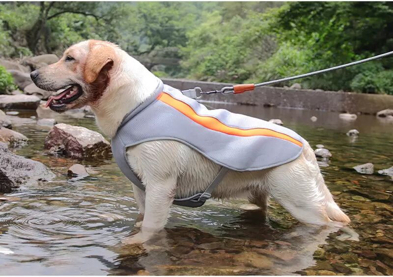 INF Gilet rafraîchissant pour chiens, manteau rafraîchissant en soie glacée respirante pour grands chiens XXL