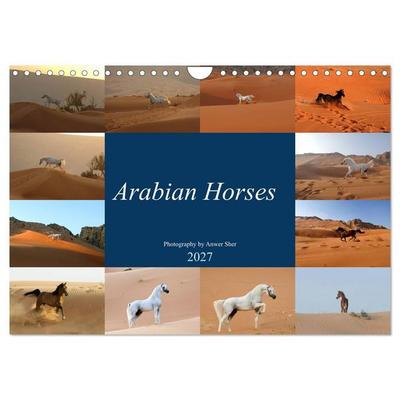 Arabian Horses (Wall Calendar 2027 DIN A4 landscape), CALVENDO 12 Month Wall Calendar