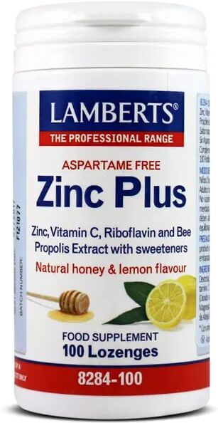 Lamberts ZINC PLUS 100 Tabs