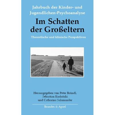 Im Schatten der Großeltern, Gebundene Ausgabe von Thomas Aichhorn,Denia Barrett,Peter Bründl, Brandes & Apsel, 978-3-95558-381-1
