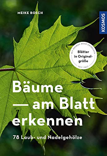 Meike Bosch - Bäume am Blatt erkennen - Preis vom 04.10.2026 03:51:26 h