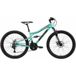 Bikestar, Mountainbike