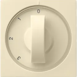 Gira Zentralplatte cws-gl 066901