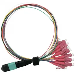 Value MPO-Fanout Kabel OM4 MPO/12xLC 2m (2 m), Netzwerkkabel