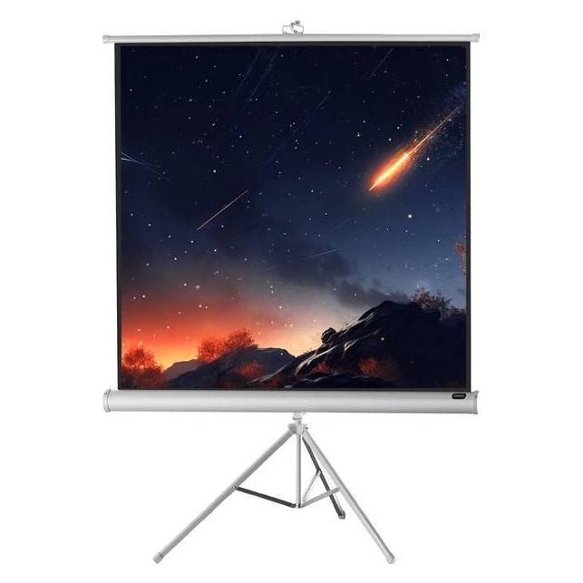 Celexon Economy tripod screen - Projektionsbildschirm mit Stativ - 223 cm (88") (87.80", 1:1) (1090265)