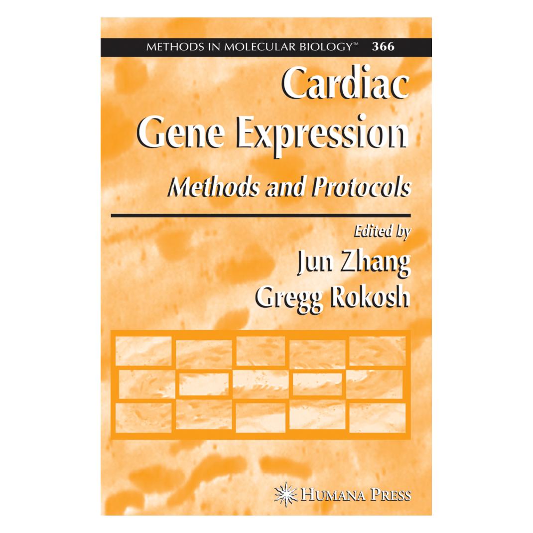Springer Cardiac Gene Expression (Englisch, Softcover, Gregg Rokosh, Jun Zhang) (55381166)